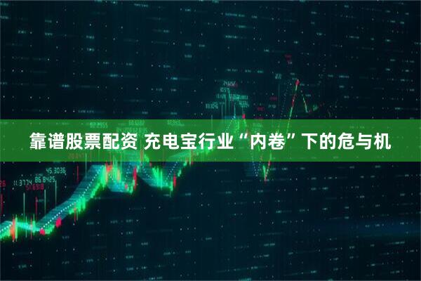 靠谱股票配资 充电宝行业“内卷”下的危与机