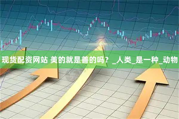 现货配资网站 美的就是善的吗？_人类_是一种_动物