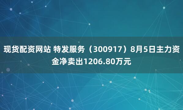 现货配资网站 特发服务（300917）8月5日主力资金净卖出1206.80万元